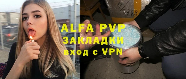 СК Алексин