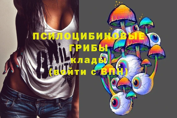 СК Алексин
