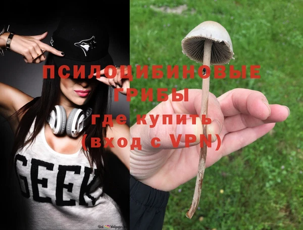 СК Алексин