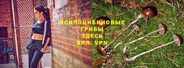 СК Алексин