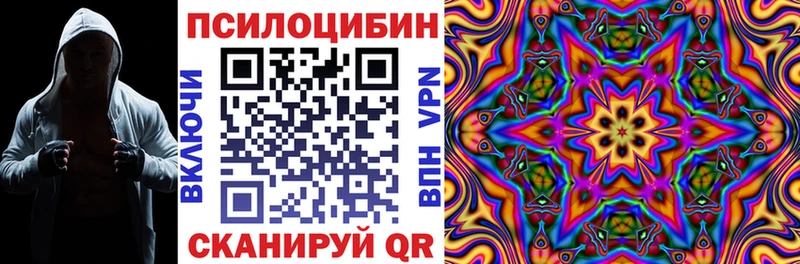 Псилоцибиновые грибы Magic Shrooms  купить   Липки 