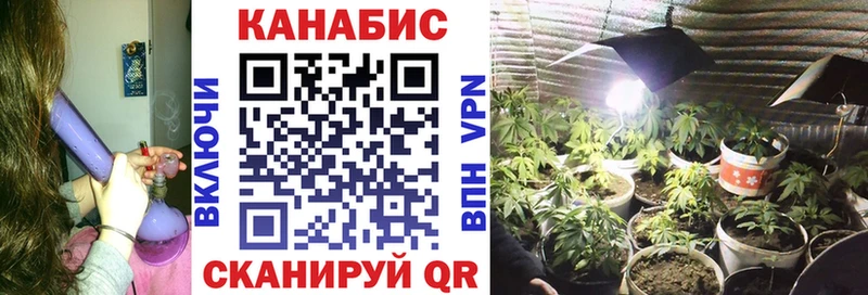 Бошки Шишки тримм  Липки 
